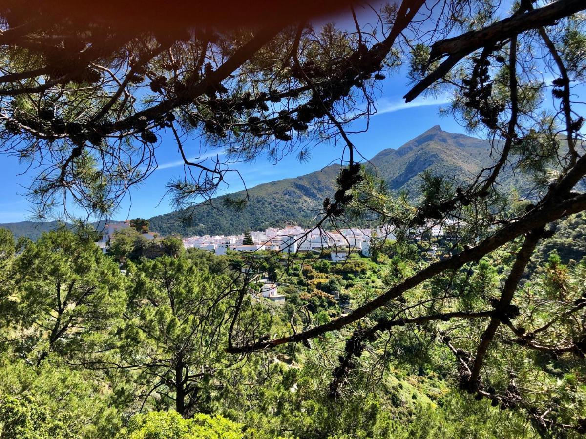 Appartamento Casa Verde Istán Esterno foto
