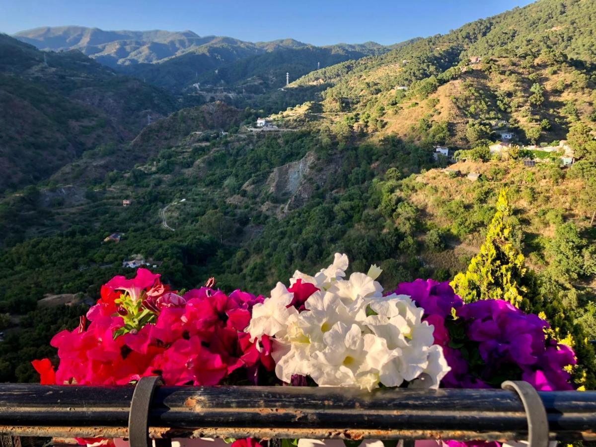 Appartamento Casa Verde Istán Esterno foto